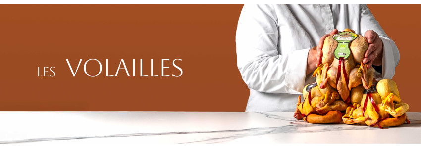 Les volailles