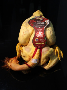 Chapon Fermier jaune des Landes 