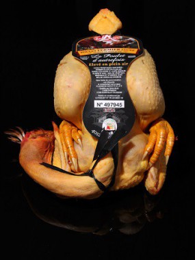 Poulet d’autrefois 
