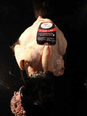 Dinde fermière des Landes 